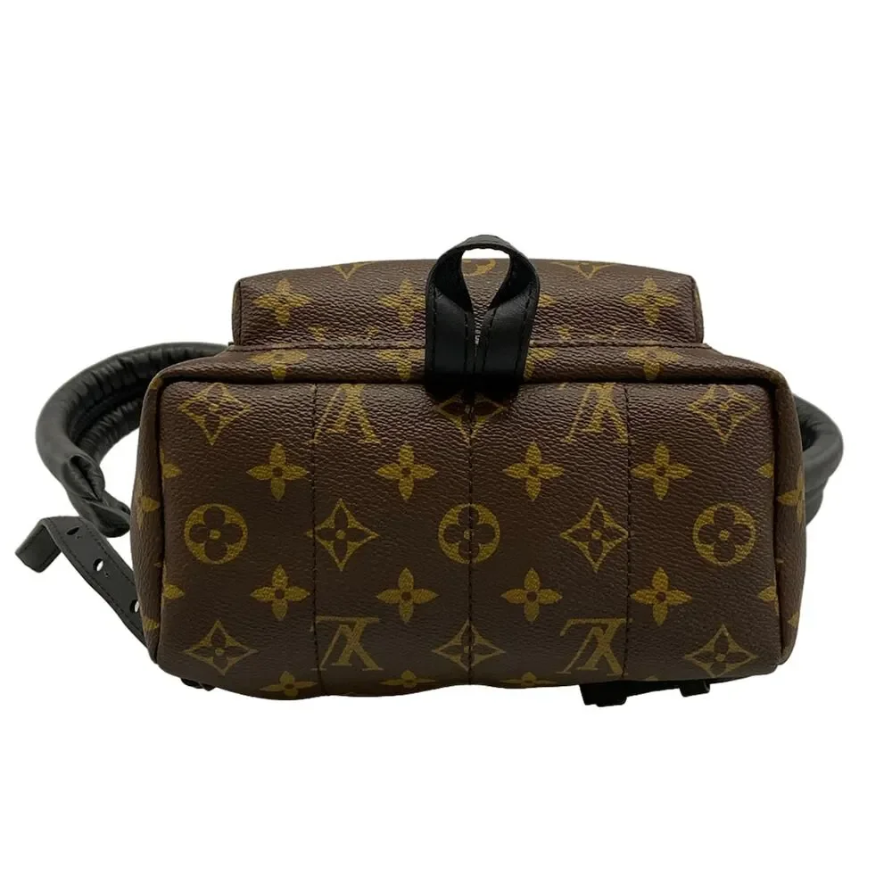 Louis Vuitton Palm Springs Backpack PM Monogram Backpack M41560